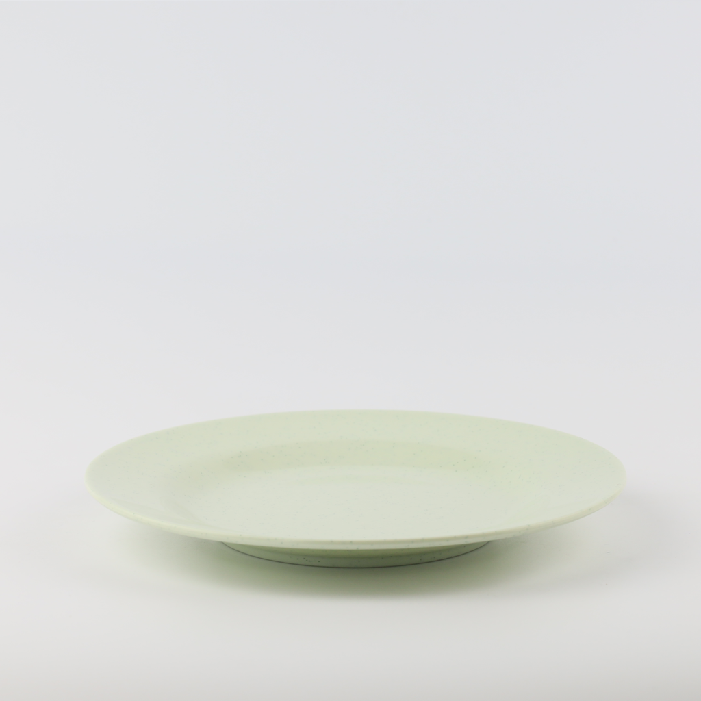 Flat Plate 8