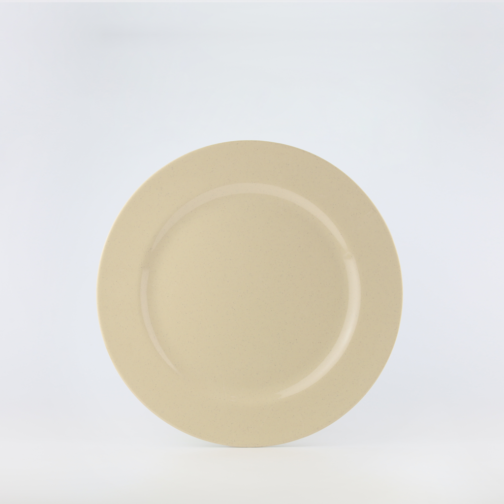 Flat Plate 12