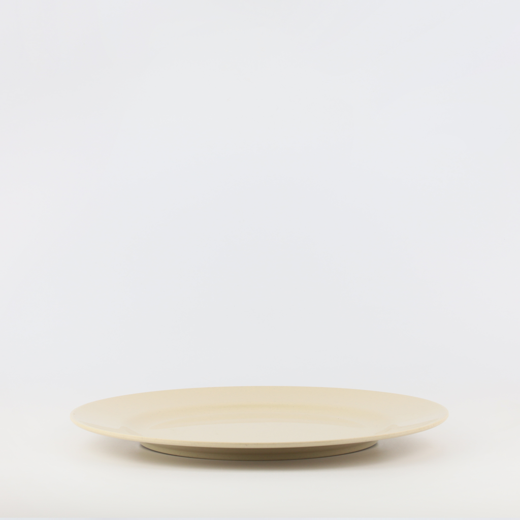 Flat Plate 12