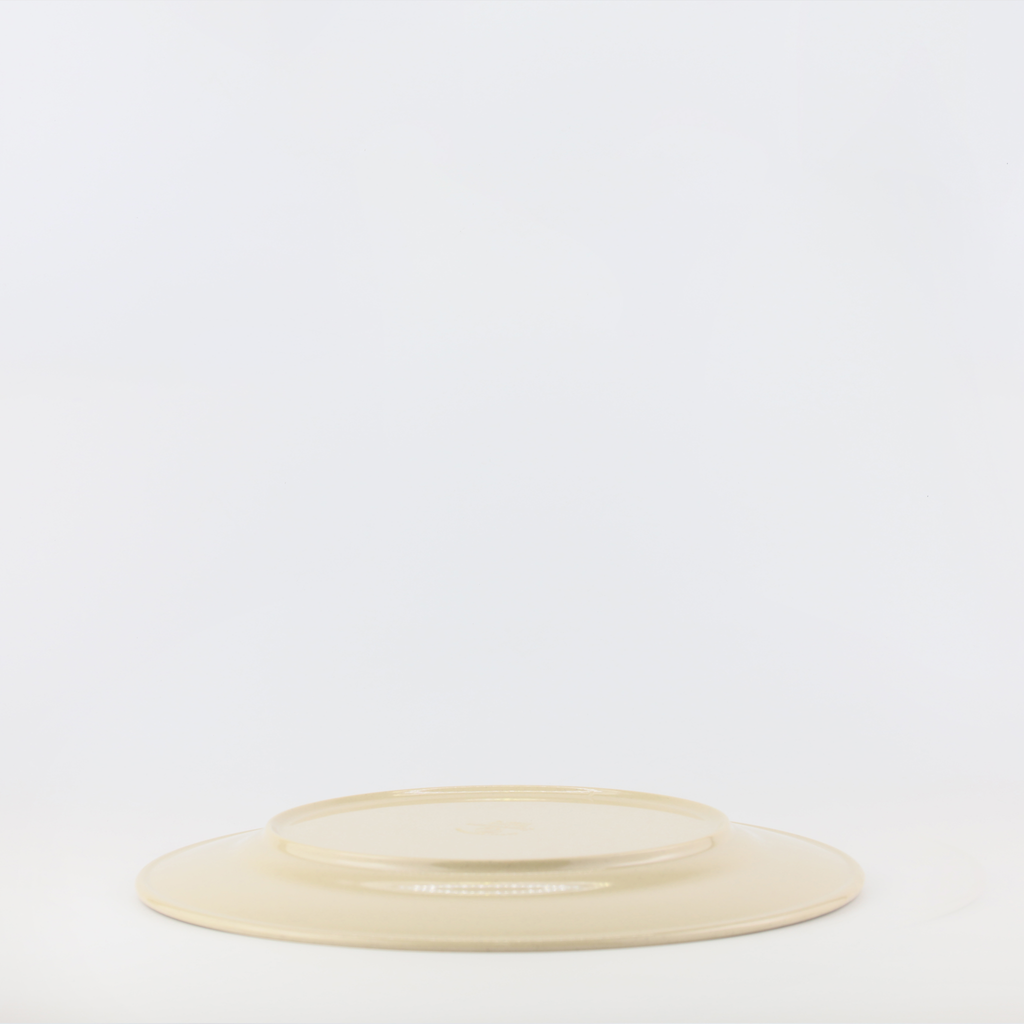Flat Plate 12