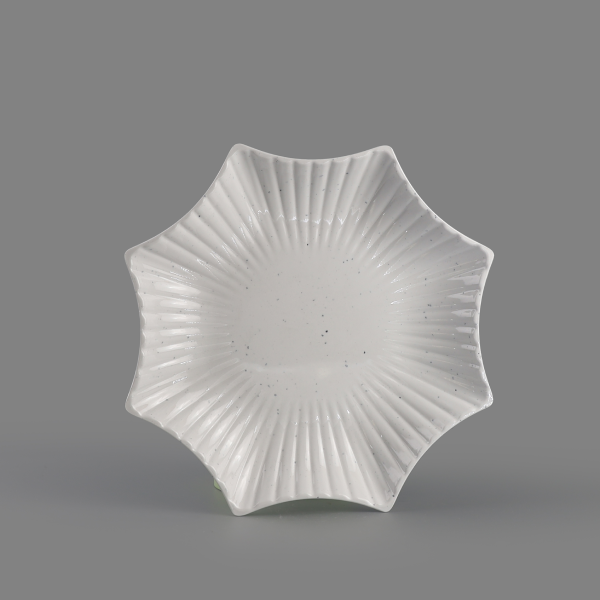 Star plate 6.5