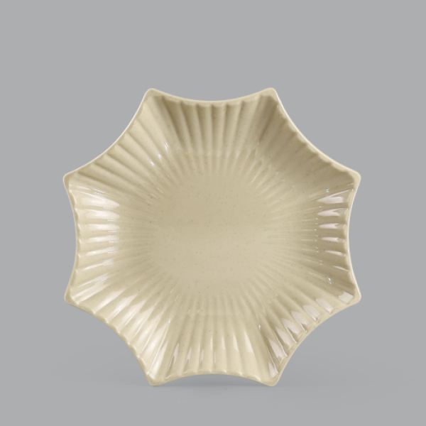 Star plate 9.2