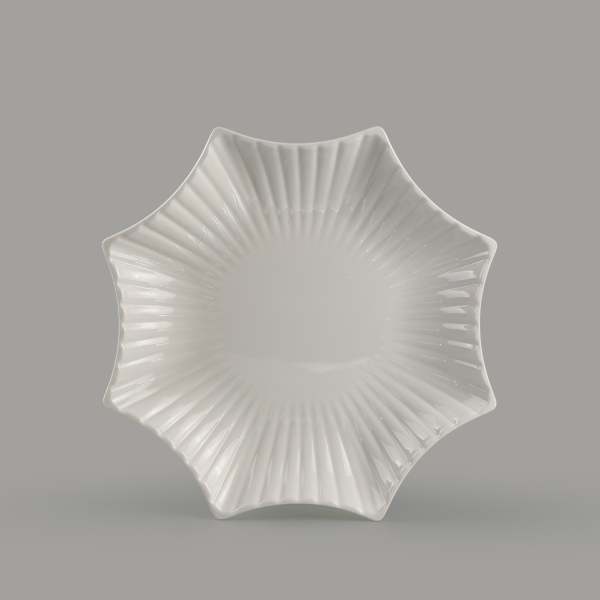 Star plate 8.2