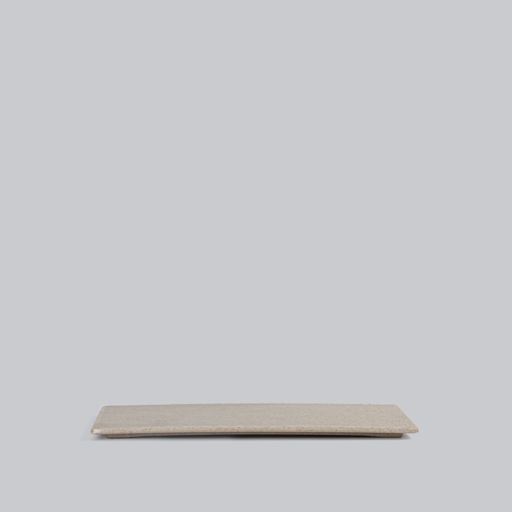 Matte Rectangular Plate 10