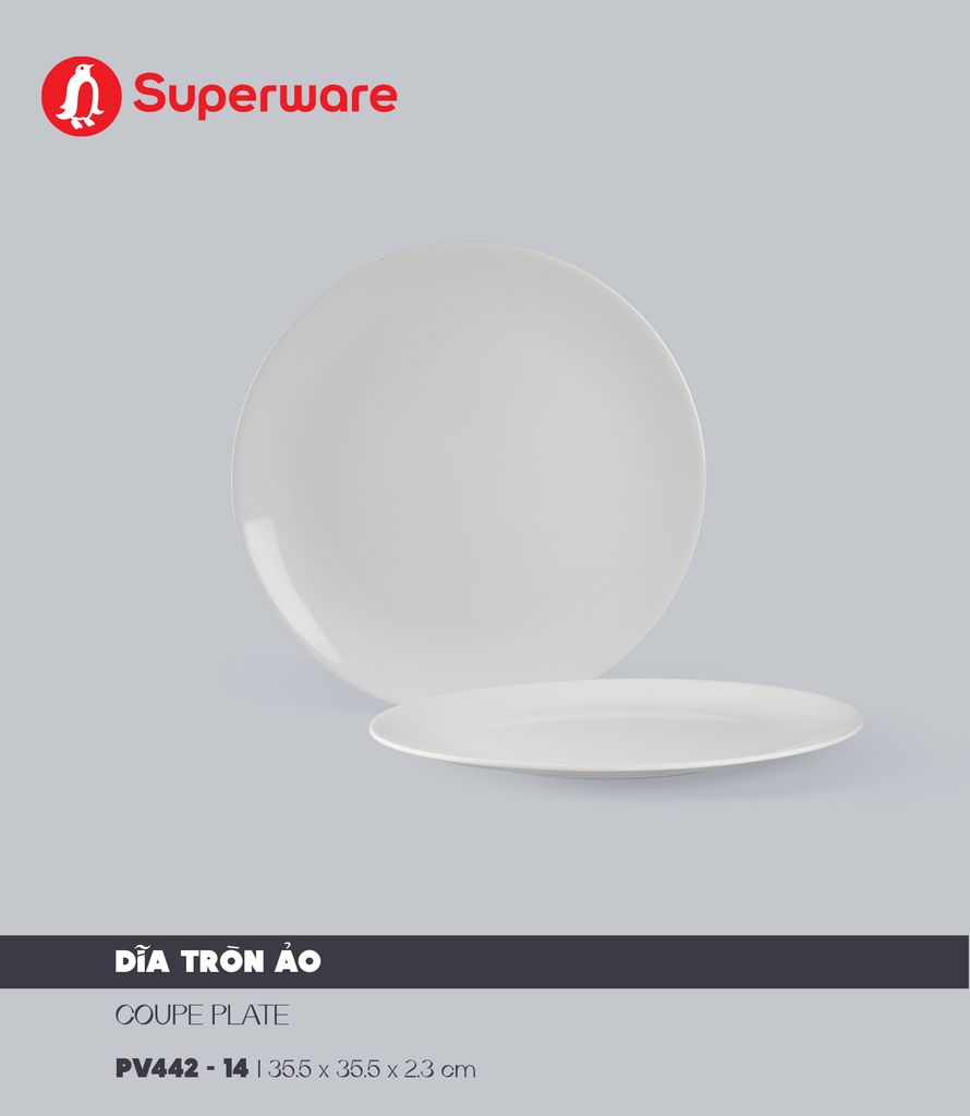 Dĩa tròn ảo 14