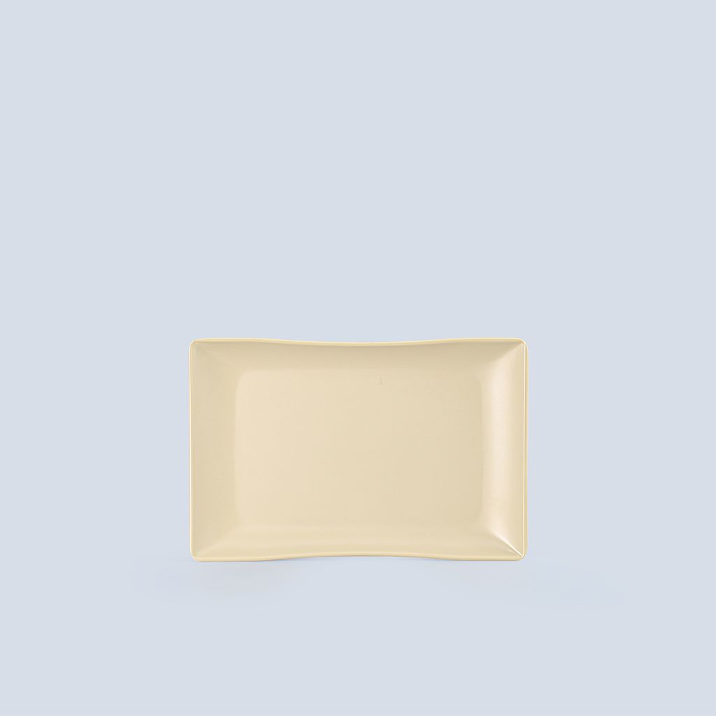Matte Rectangular Plate 8