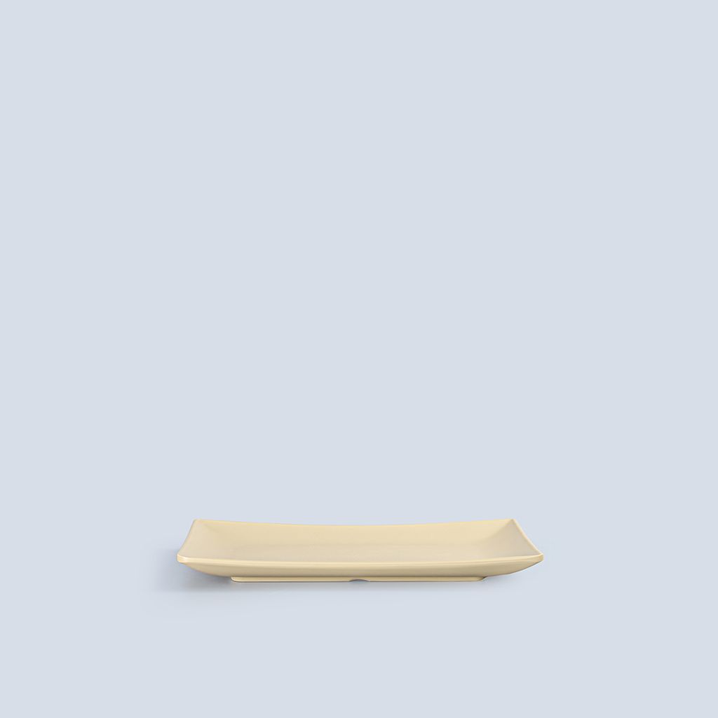 Matte Rectangular Plate 8
