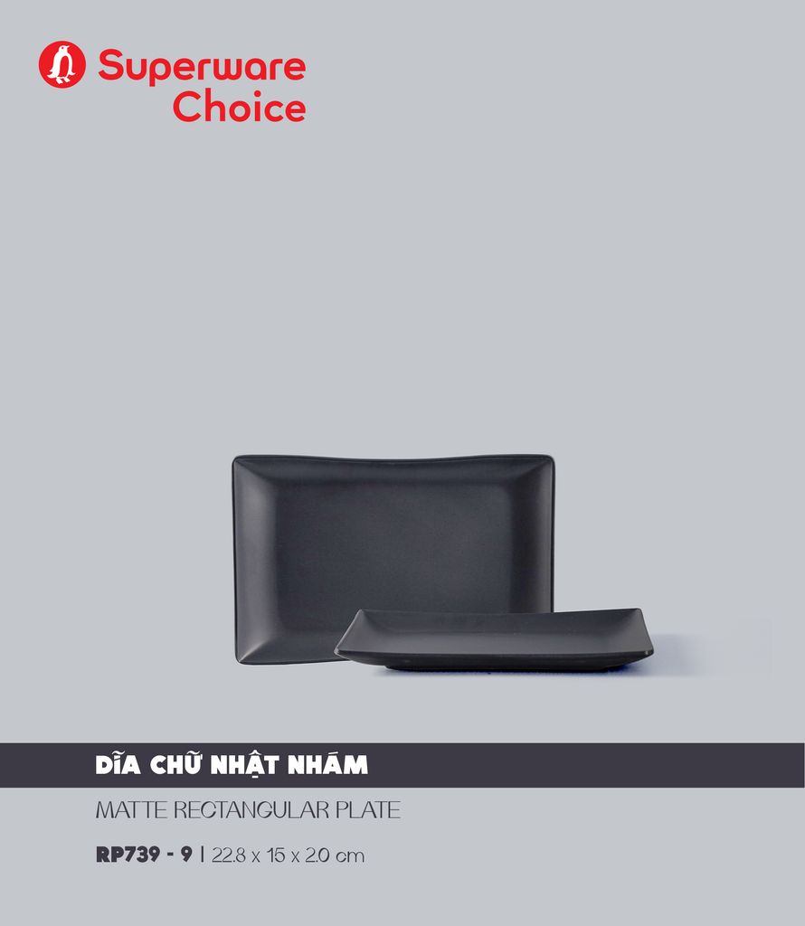 Matte Rectangular Plate 9