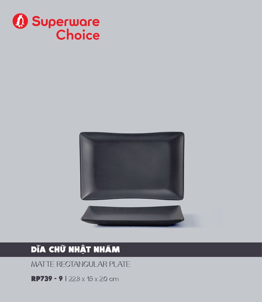 Matte Rectangular Plate 9