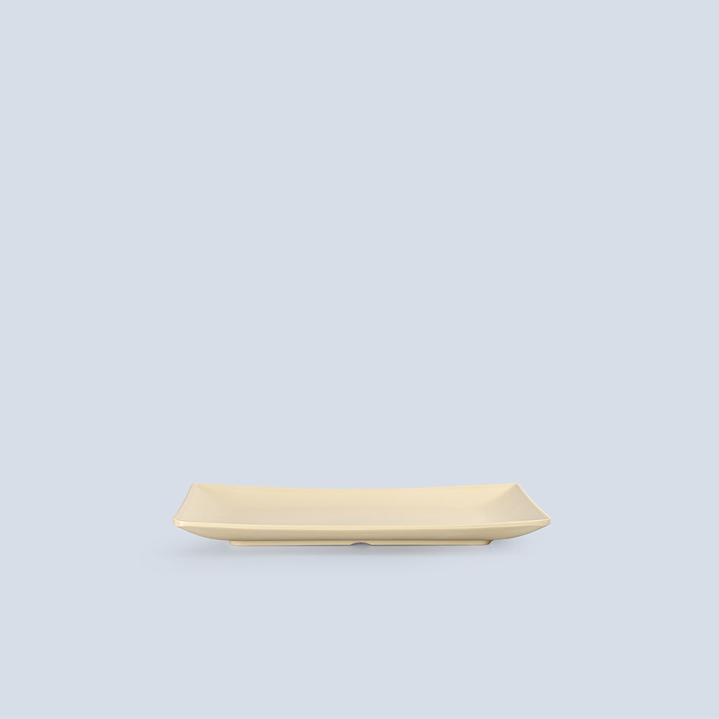 Matte Rectangular Plate 9