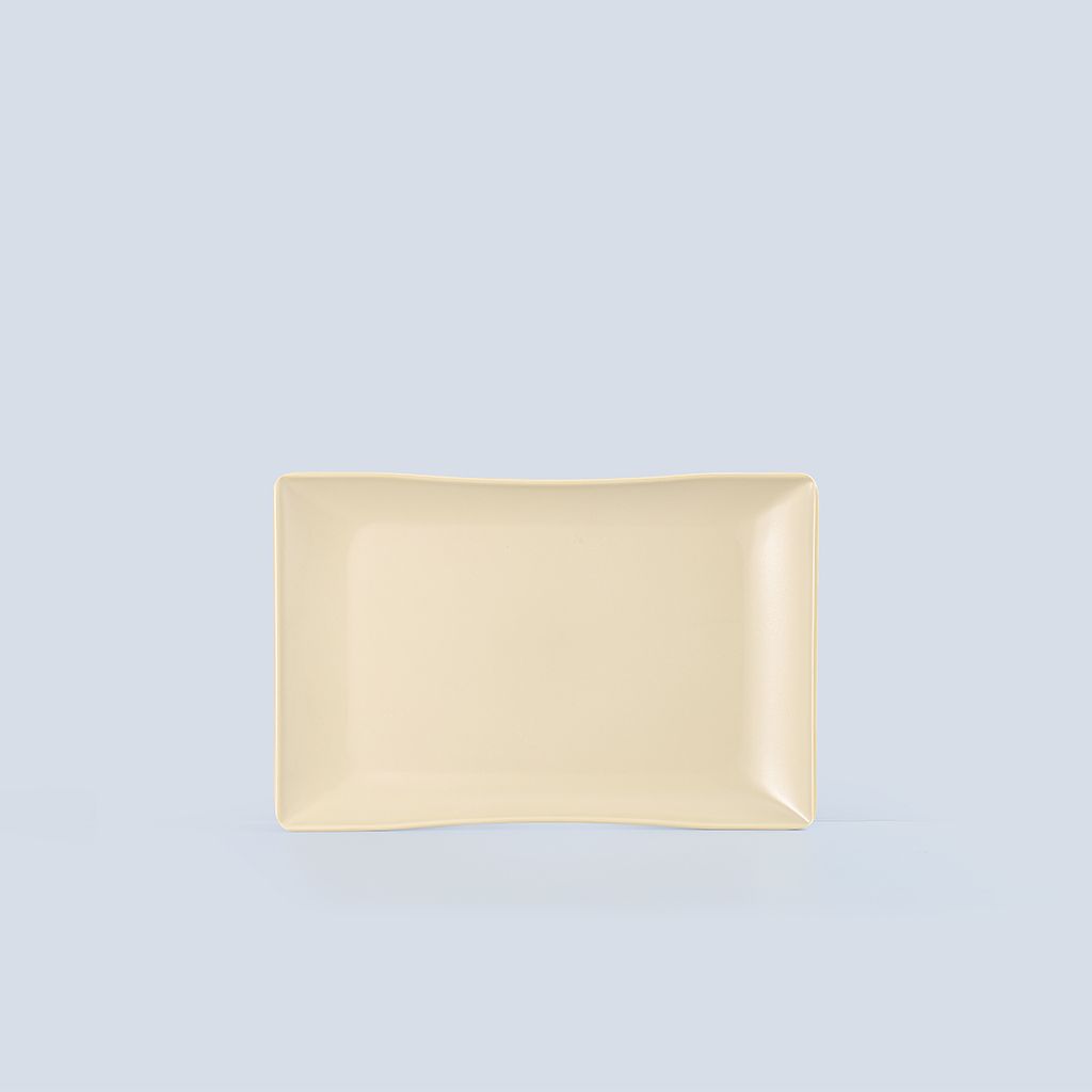 Matte Rectangular Plate 9