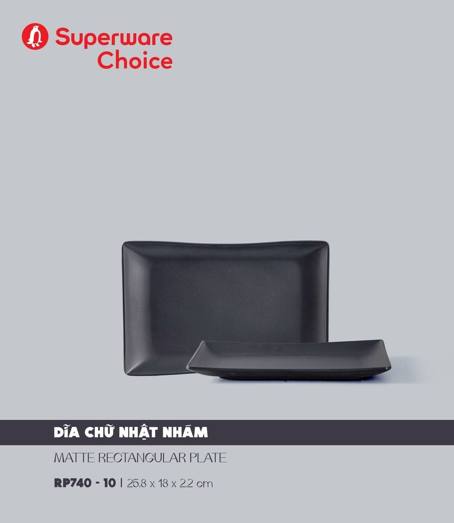 Matte Rectangular Plate 10