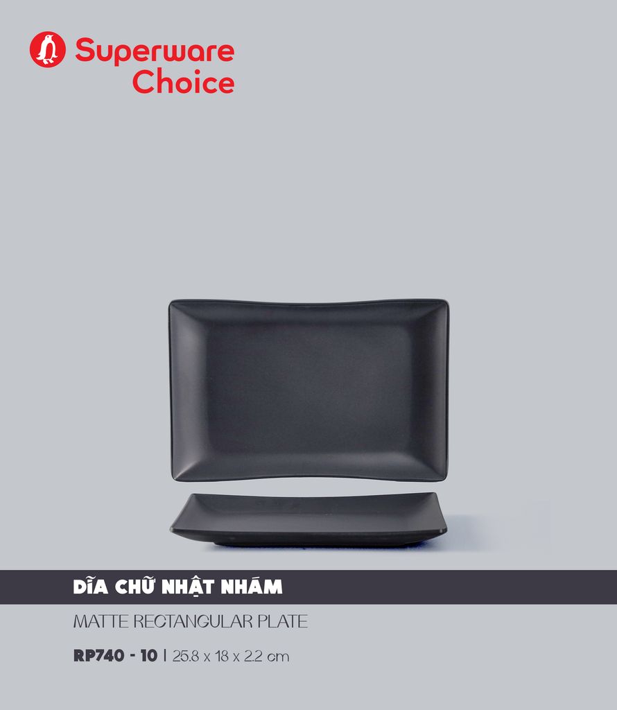 Matte Rectangular Plate 10
