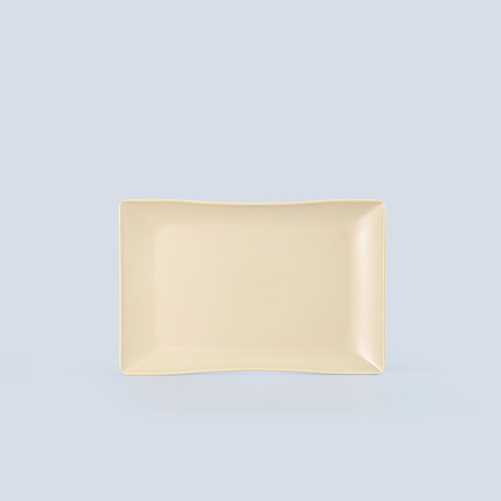 Matte Rectangular Plate 10