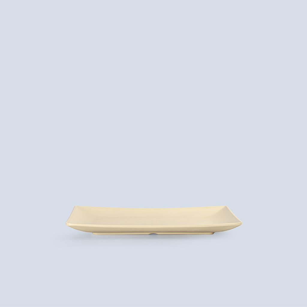 Matte Rectangular Plate 10