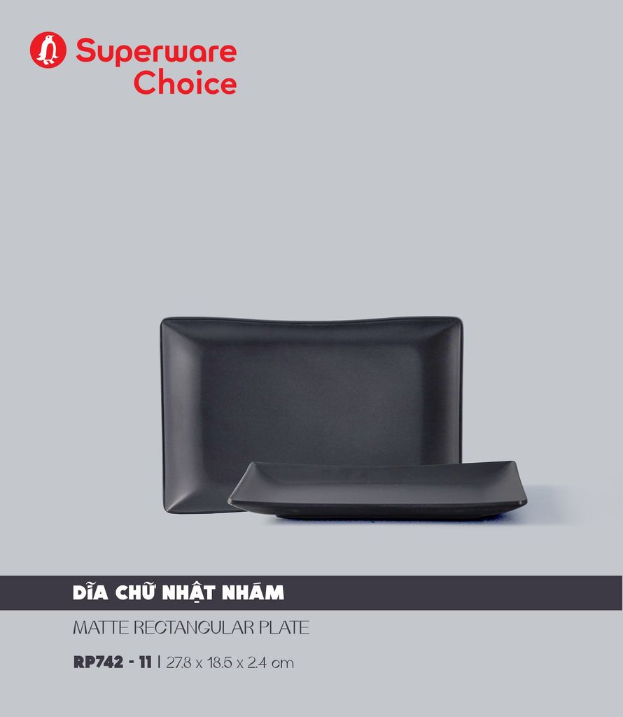 Matte Rectangular Plate 11