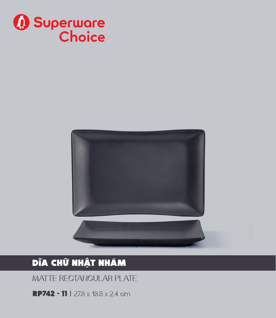 Matte Rectangular Plate 11