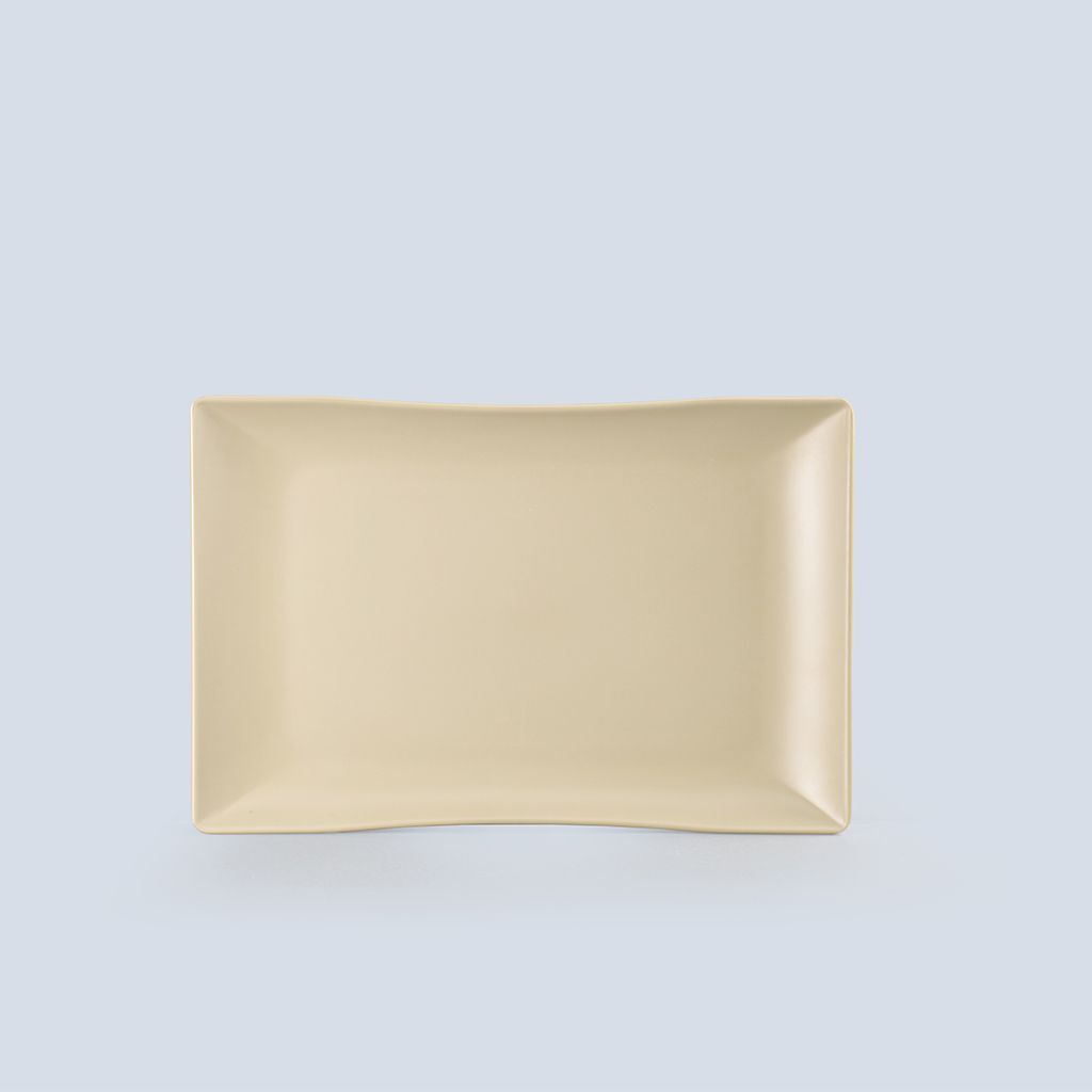 Matte Rectangular Plate 11