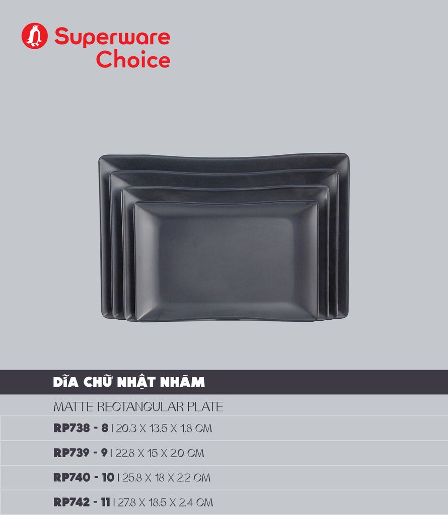 Matte Rectangular Plate 10