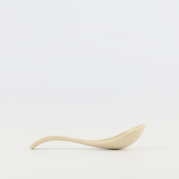 Spoon | SP6139