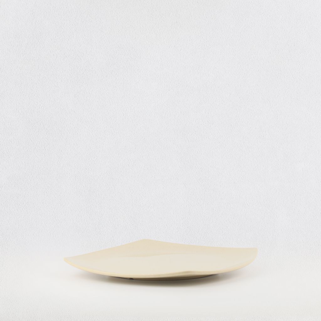 Ex-shape square plate 10.5