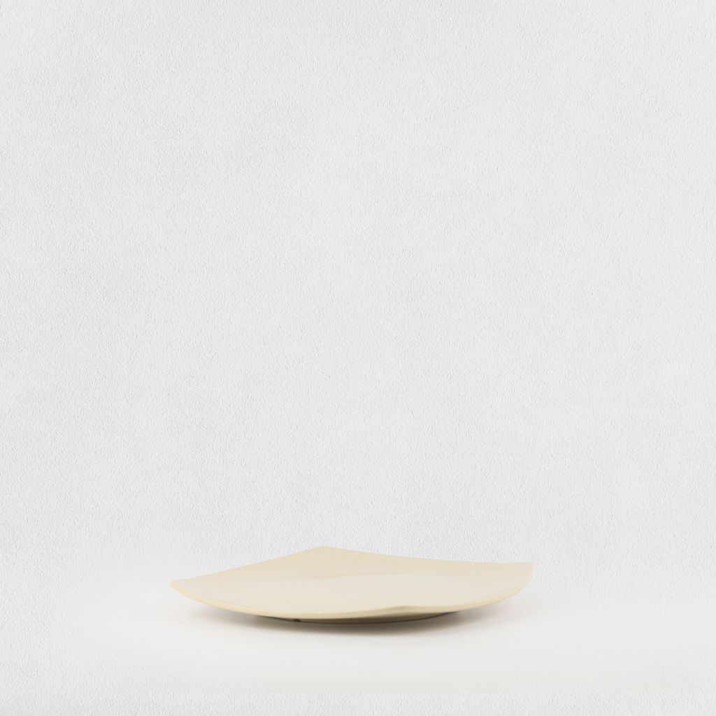 EX-shape square plate 8.5