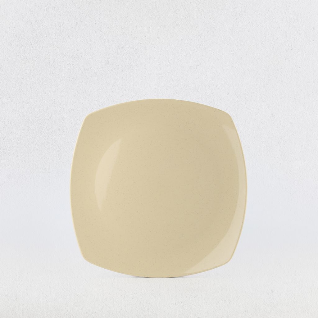 Ex-shape square plate 10.5