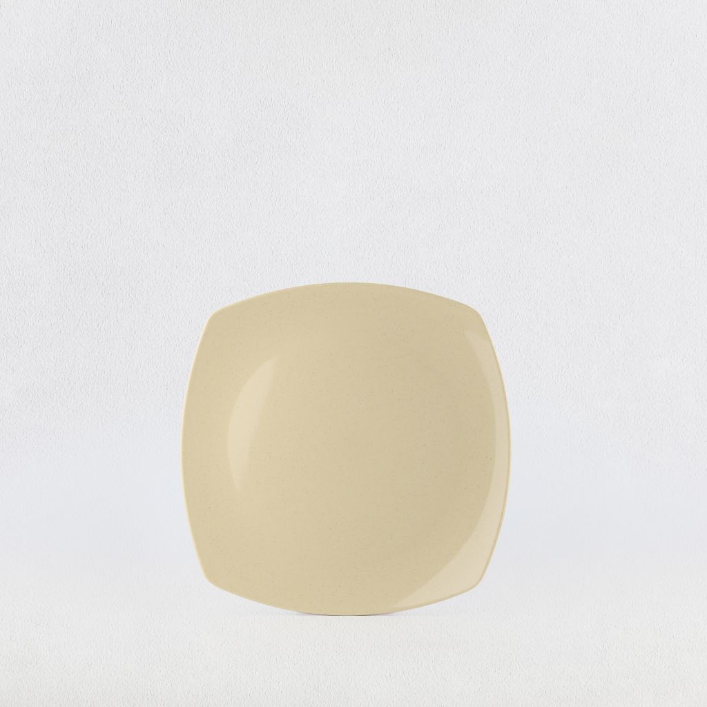 EX-shape square plate 8.5
