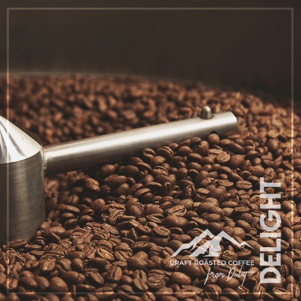  [DÙNG THỬ 100gr] ROBUSTA - Traditional Vietnamese Coffee 