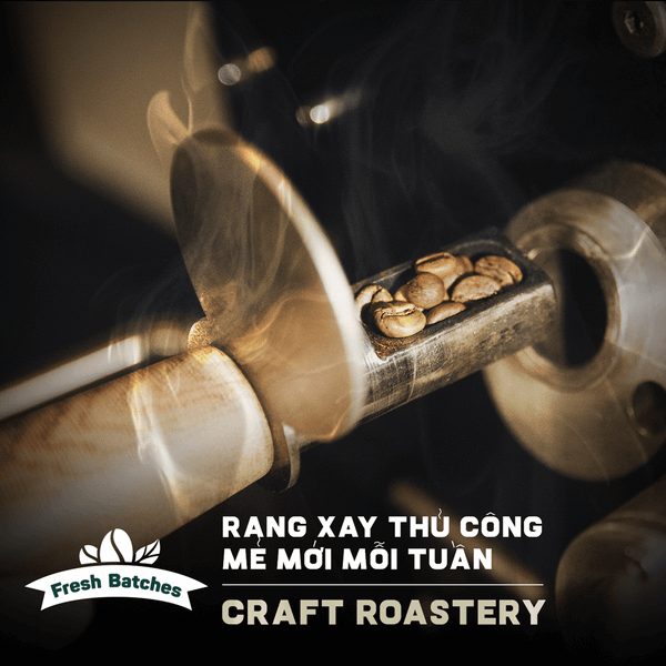  ROBUSTA VIỆT NAM| Traditional Vietnamese Coffee - Đậm vị văn hóa Việt 