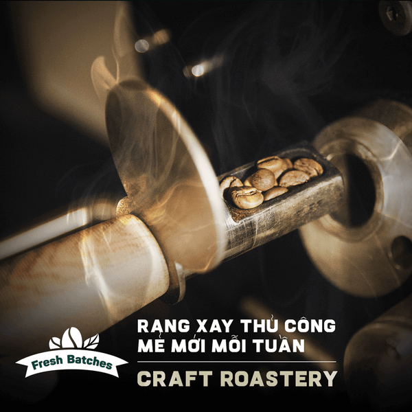  [COMBO CÀ PHÊ 1] COMBO TRẢI NGHIỆM | Trải nghiệm 4 loại Cafe nguyên chất pha tại nhà 