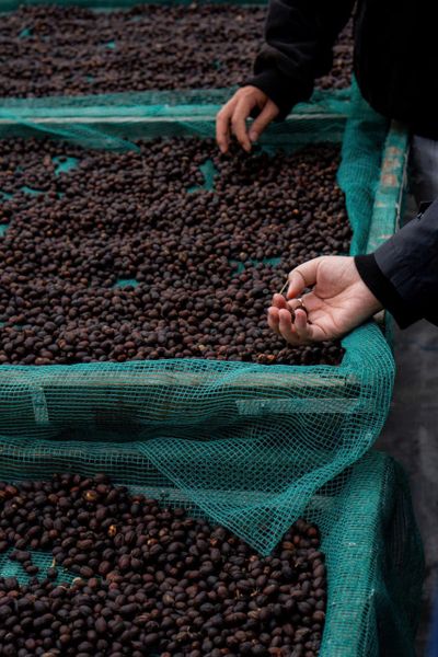  WINEY CẦU ĐẤT | Specialty Coffee - Cà phê Chất lượng đạt chuẩn 