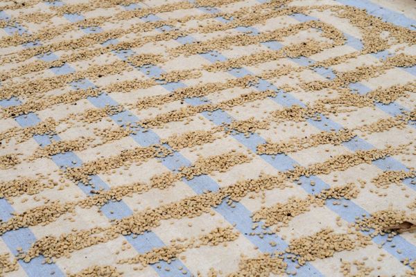  WINEY CẦU ĐẤT | Specialty Coffee - Cà phê Chất lượng đạt chuẩn 