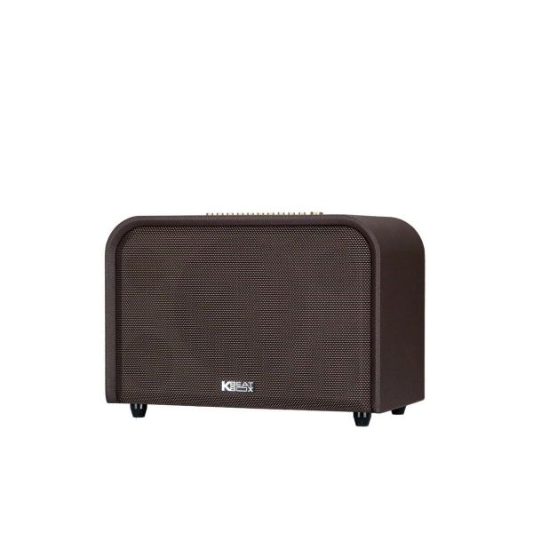  Loa Karaoke Acnos Acoustic 3 