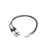 BlackMagic Video Assist Mini XLR Cables 