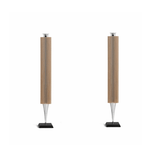  Loa Bang&Olufsen (B&O) Beolab 18 