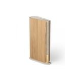  Loa Bang&Olufsen (B&O) Beosound Emerge 