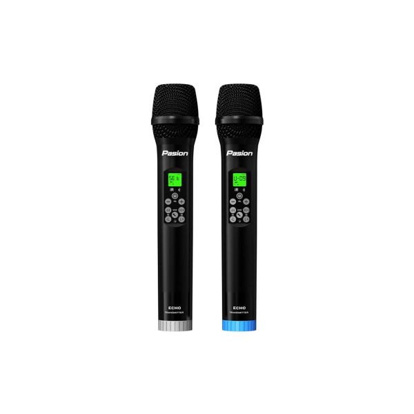  Micro PASION ECHO Không Dây Tích Hợp 