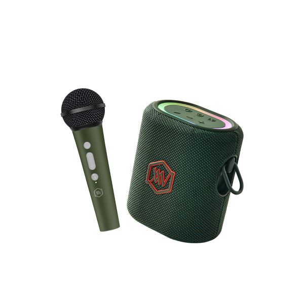  Loa Party Karaoke Alpha Works Sonik Plus 