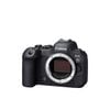  Máy ảnh Canon EOS R6 Mark II body - Chính hãng 