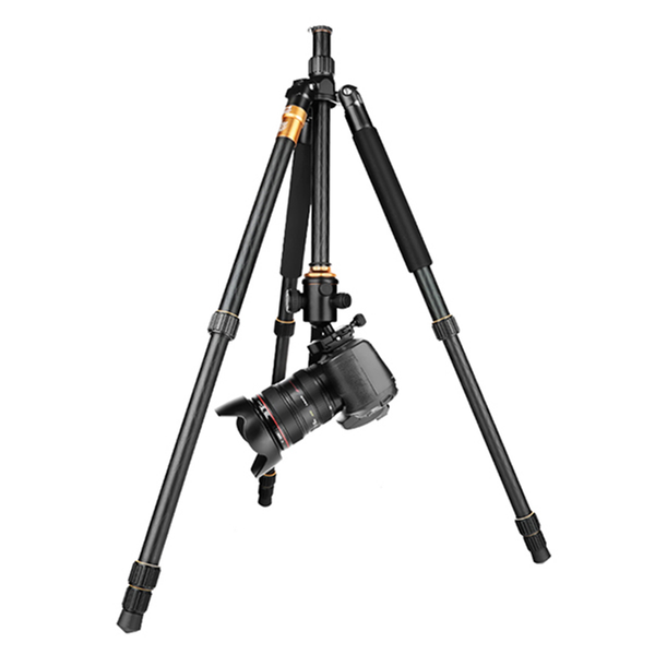  Chân máy ảnh Beike Q999 - Chính hãng 