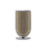  Loa không dây Bang & Olufsen Beolab 8 