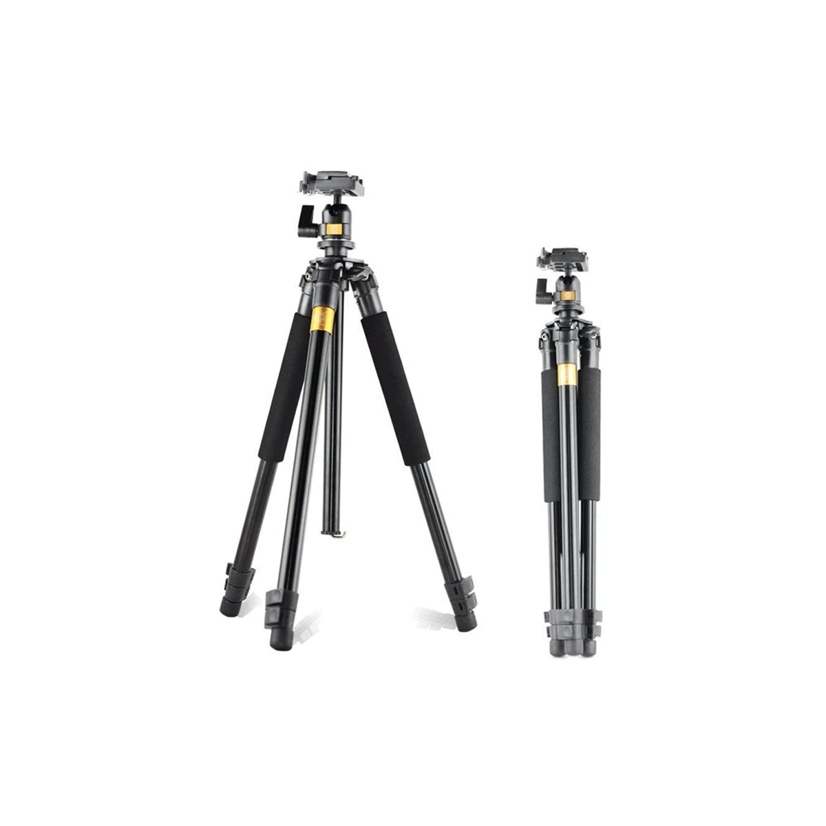 Chân máy ảnh chuyên nghiệp Tripod Beike Q308