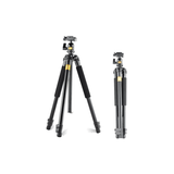  Chân máy ảnh chuyên nghiệp Tripod Beike – Q308 