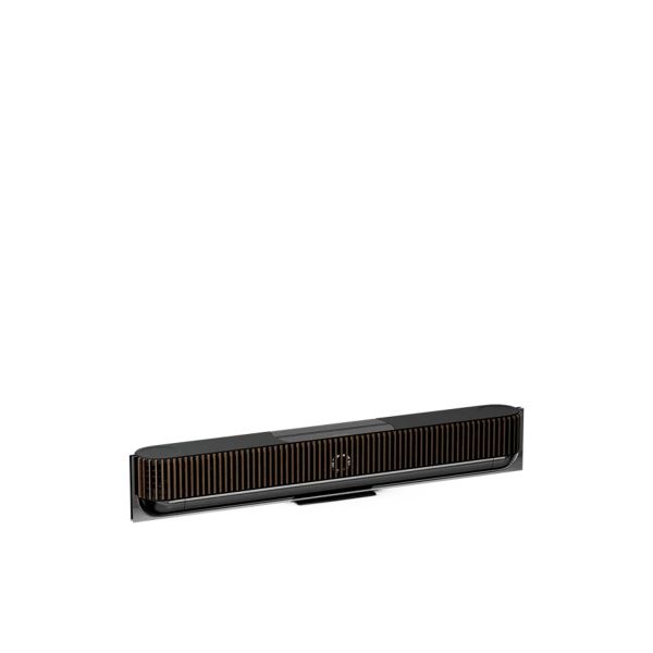  Loa Bang&Olufsen (B&O) Beosound Theatre 