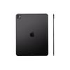  Ipad Pro M4 13inch Nano Wifi 