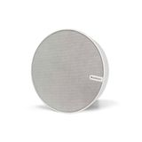  Loa AudioPro SPW-5 