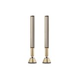 Loa Bang&Olufsen (B&O) Beolab 28 