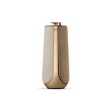  Loa Bang&Olufsen (B&O) Beolab 50 