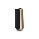  Loa Bang&Olufsen (B&O) Beolab 50 